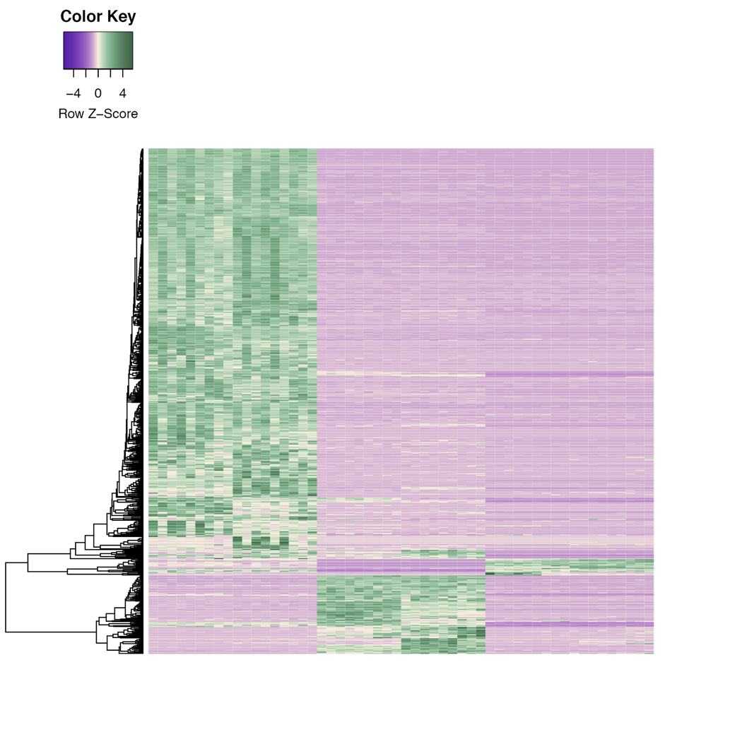 RNA-seq 