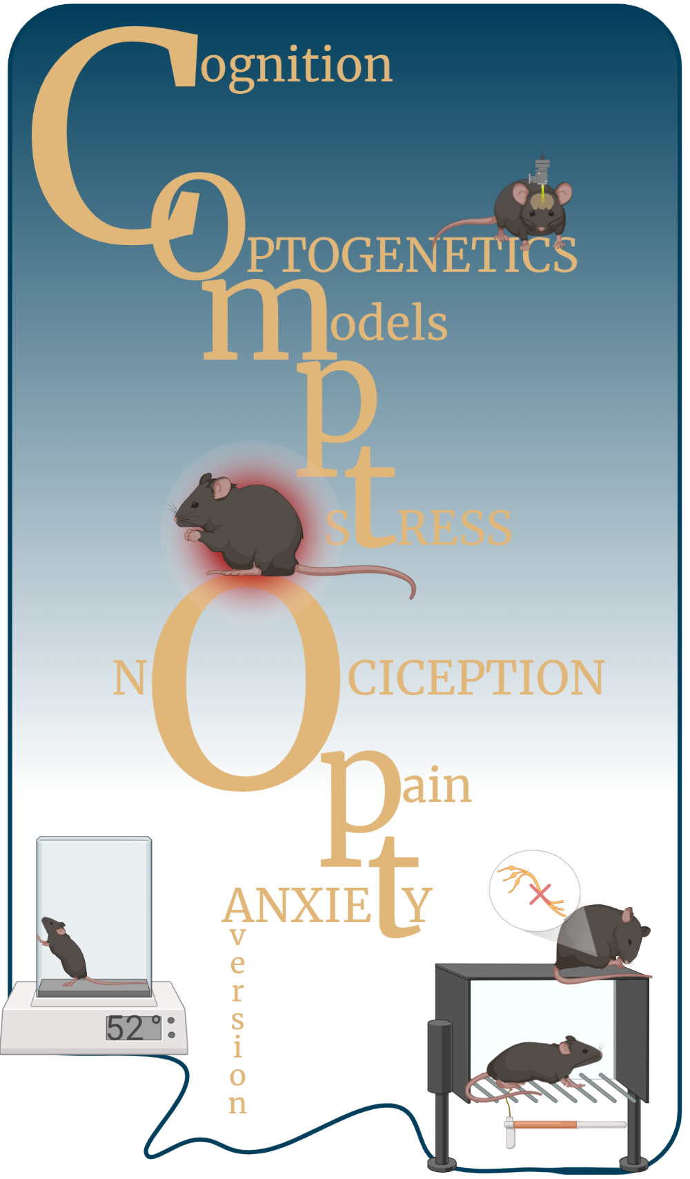 ComptOpt-Pain_Transparent.png