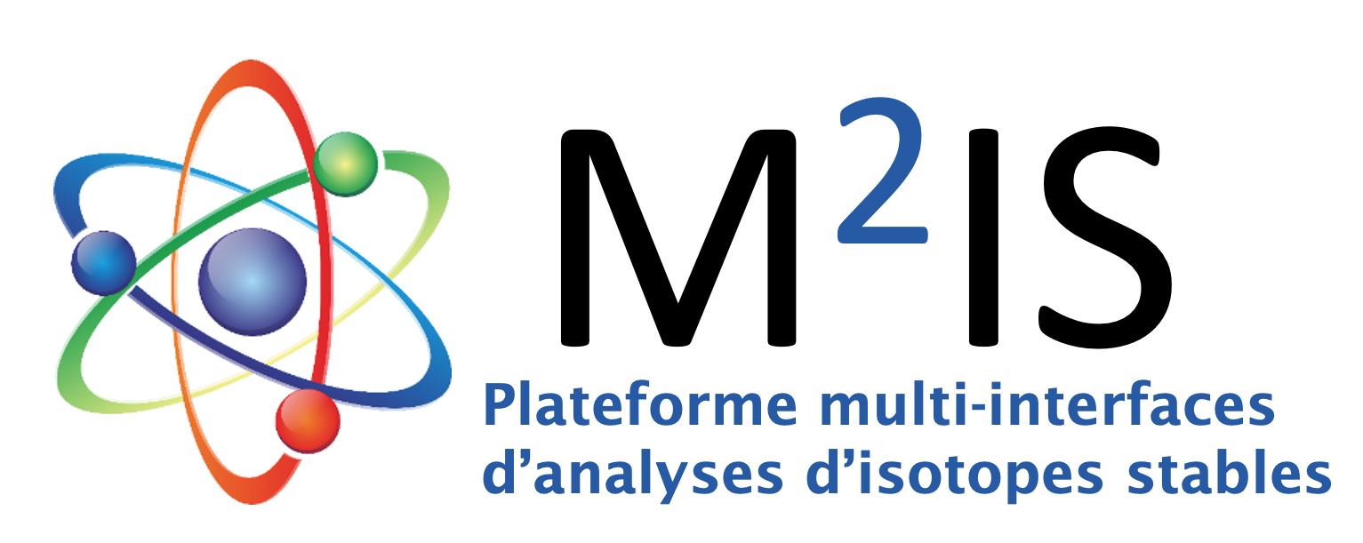 M2iS