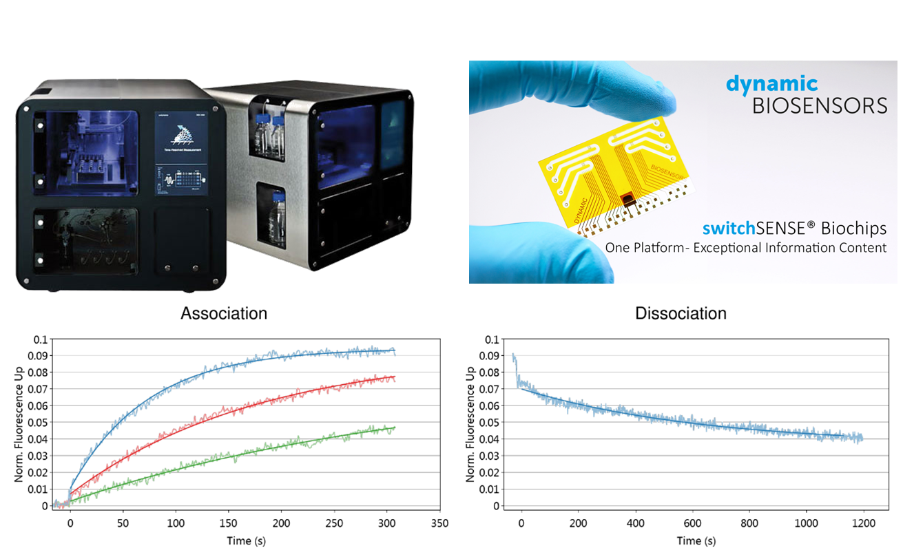 Measurement of macromolecular interactions by SwitchSENSE DNA chip biosensor