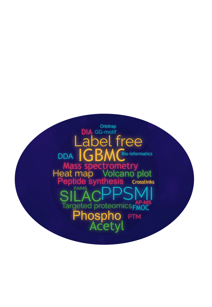 wordcloud.png