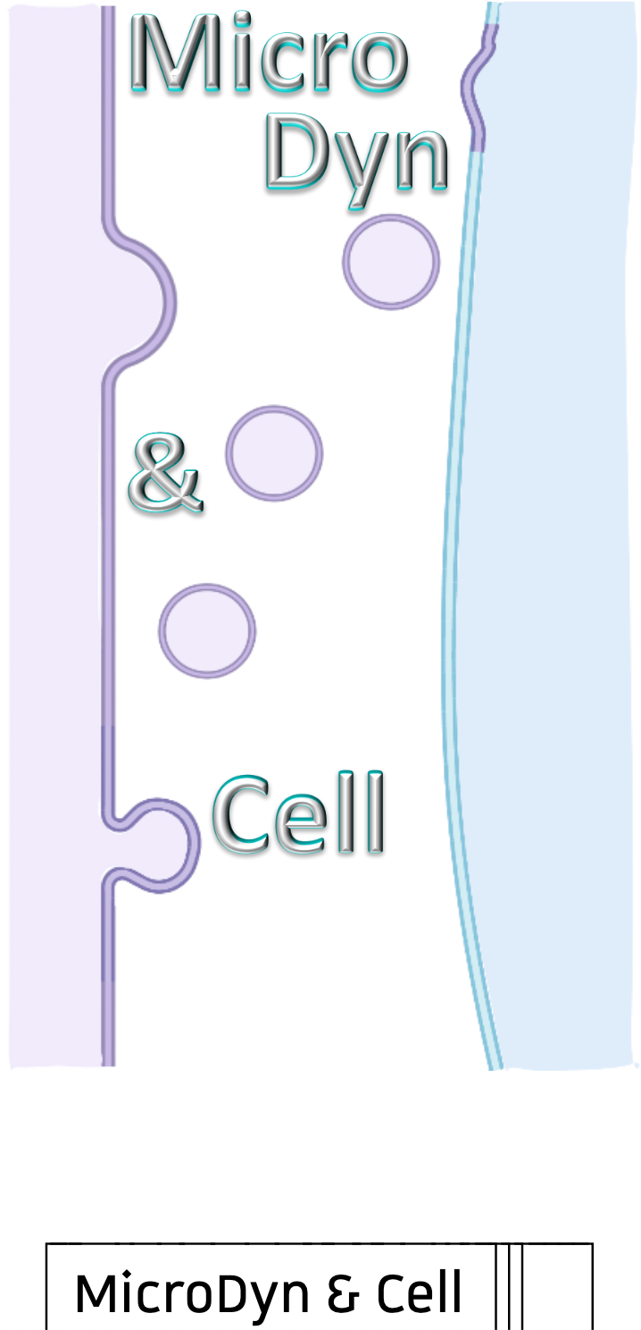 MicroDyn & cells