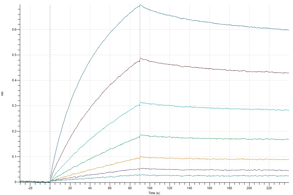 Biophysical characterisation of proteins (AUC, BLI, MP, ITC, FIDA, SEC-MALS, DLS, nanoDSF, MST)