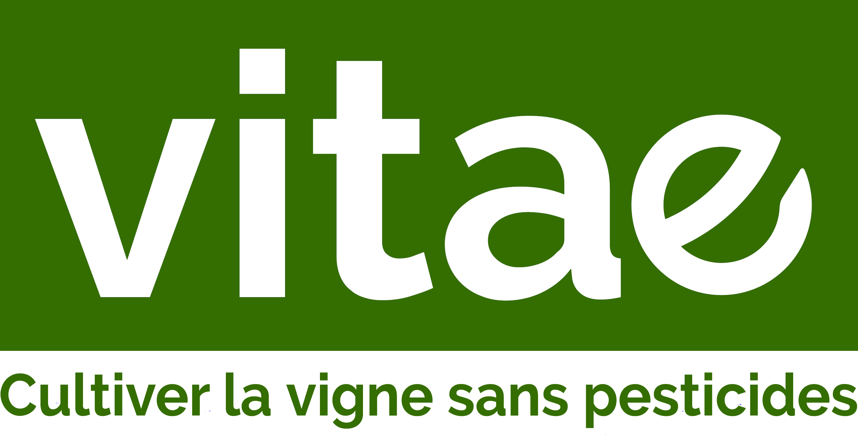 Projet VITAE 