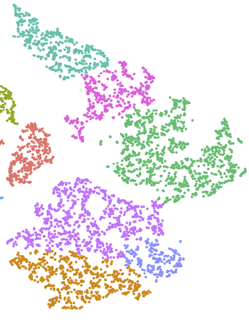 tsne_SansAxe_2.png