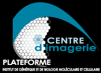 ICI