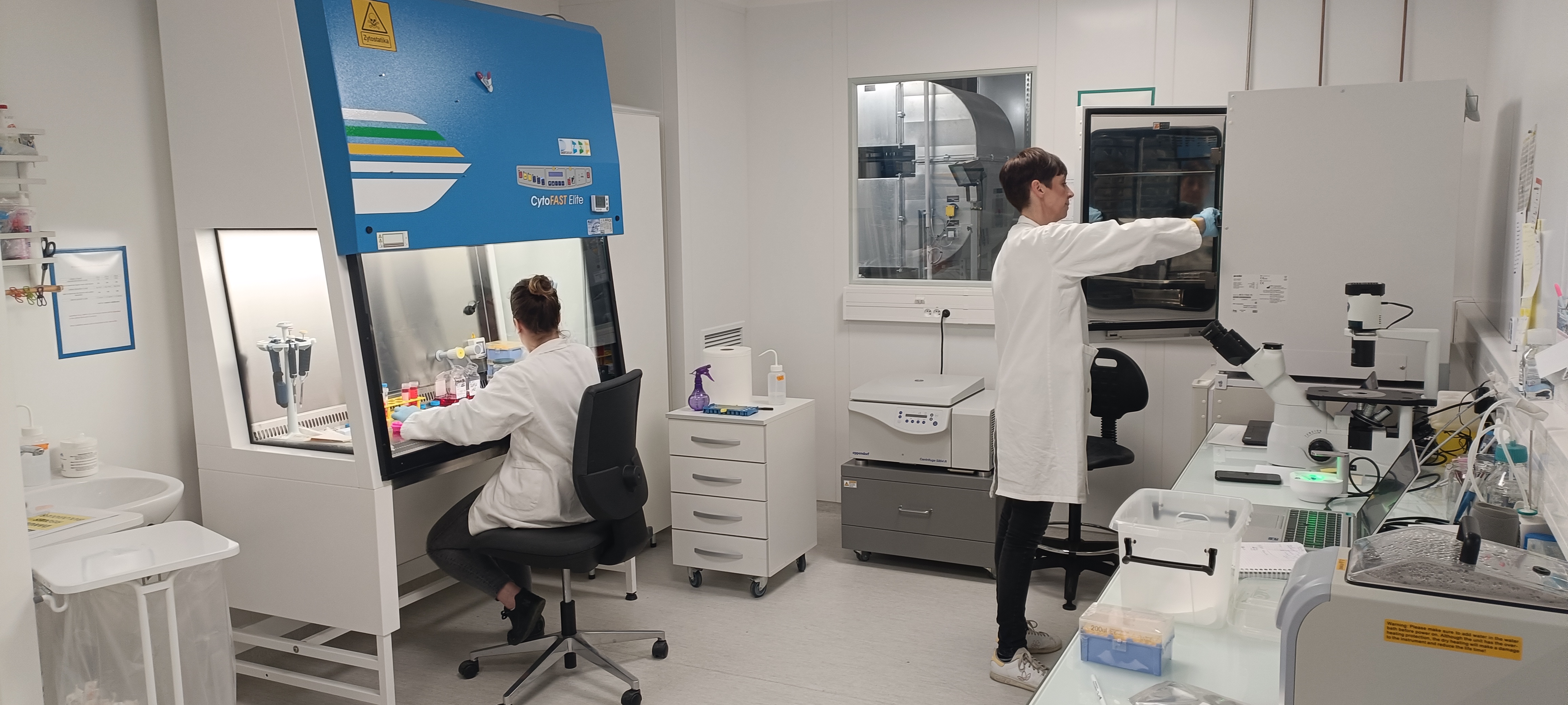 We can operate cells culture and molecular biology tests like PCR